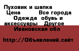 Пуховик и шапка  Adidas  › Цена ­ 100 - Все города Одежда, обувь и аксессуары » Другое   . Ивановская обл.